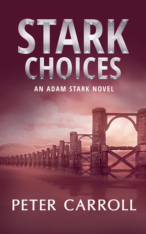 Stark Choices (Adam Stark #2)