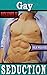 Gay Seduction: 10 First Time Tales Volume II