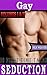 Gay Seduction: 20 First Time Tales Volumes I & II