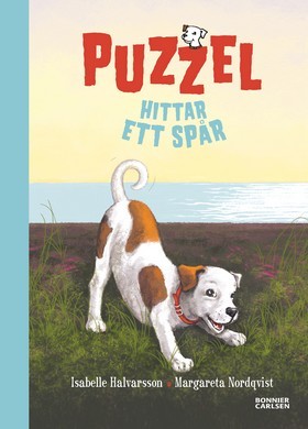 Puzzel hittar ett spår (Puzzel #3)