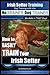 Irish Setter Training | Dog Training with the No BRAINER Dog TRAINER ~ We Make it THAT Easy!: How To Easily TRAIN Your Irish Setter
