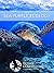 Sea Turtle Ecology