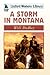 A Storm in Montana by Will DuRey