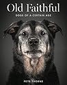 Old Faithful: Dog...