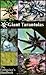 Giant Tarantulas The Enthusiast's Handbook