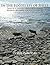 In the Footsteps of Sheep by Debbie Zawinski