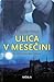 Ulica v mesečini (On Dublin Street, #6)