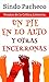 Un pie en lo alto y otras encerronas. Premio de la Crítica Li... by Sindo Pacheco