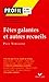 Profil - Verlaine (Paul) : Fêtes galantes et autres recueils: analyse littéraire de l'oeuvre (Profil d'une oeuvre t. 247) (French Edition)