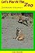 Let's Play At The Zoo: Zoo ...