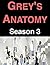 Grey's Anatomy: Season 3
