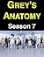 Grey's Anatomy: Season 7