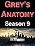 Grey's Anatomy: Season 9