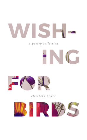 Wishing for Birds (Paperback)