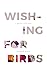Wishing for Birds by Elisabeth Hewer Wishing for Birds by Elisabeth Hewer