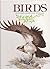 Birds of Rivers, Lakes, and Streams by Fred Milson