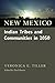New Mexico Indian Tribes and Communities in 2050