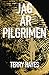 Jag är pilgrimen by Terry Hayes