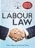 Everyone’s Guide to Labour Law in South Africa