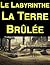 Le Labyrinthe: La Terre brûlée - Résumé (French Edition)