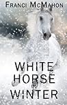 White Horse in Winter by Franci McMahon
