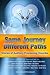 Same Journey Different Paths Stories of Auditory Processing D... by Beverly Prince-Sayward