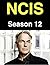 NCIS by Ryan Rivas