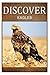 Eagles - Discover: Early reader's wildlife photography book