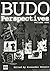Budo Perspectives