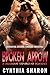 Broken Arrow (My Stepbrother's Keeper #7)
