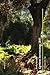 Cumbres borrascosas 1847: (anotado) (Narrativa Mr. Clip) (Spanish Edition)