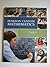 Pearson Custom Mathematics ~ Developing Mathematical Thinking (MATD 0385)