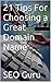 21 Tips For Choosing a Great Domain Name