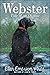 Webster: Tale of an Outlaw