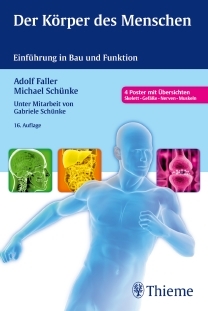 Der Körper Des Menschen. Einführung In Bau Und Funktion (Paperback)