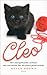 Cleo: het waargebeurde verhaal van een kleine kat die groot geluk bracht