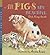 All Pigs Are Beautiful: Read and Wonder (Read and Wonder (Paperback))