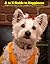 A to Z Guide to Happiness: A gift from dogs to their owners (and everyone else)