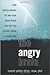 Healing the Angry Brain How Understanding the Way Your Brain Works Can Help You Control Anger and Aggression