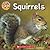 Let's Look!: Squirrels