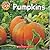 Let's Look!: Pumpkins