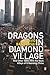 Dragons in Diamond Village: And Other Tales from the Back Alleys of Urbanising China