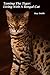 Taming The Tiger: Living With A Bengal Cat