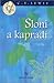 Sloni a kapradí