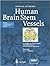 Human Brain Stem Vessels: I...