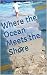 Where the Ocean Meets the Shore by Elizabeth O'Neill-Sheehan