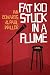 Fat Kid Stuck in a Flume (A...