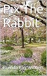 Pix The Rabbit