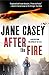 After the Fire (Maeve Kerrigan, #6)