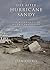 Life After Hurricane Sandy by Jean Laurie